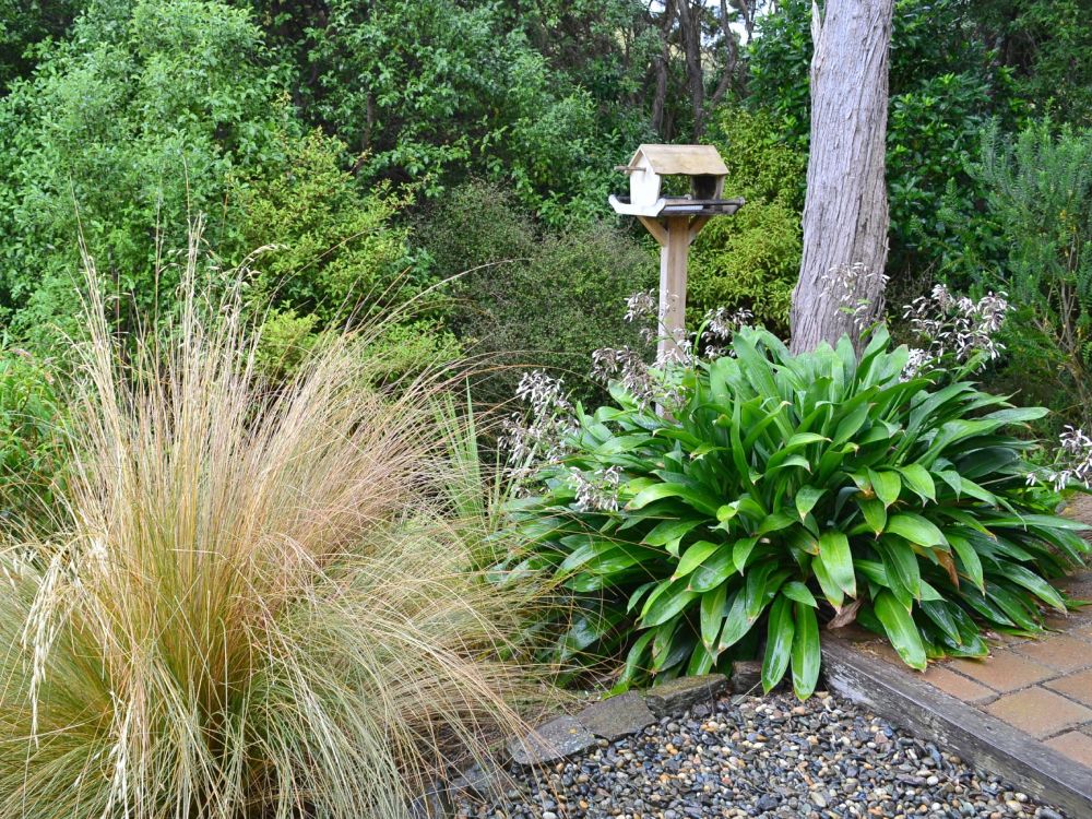 Birdhouse