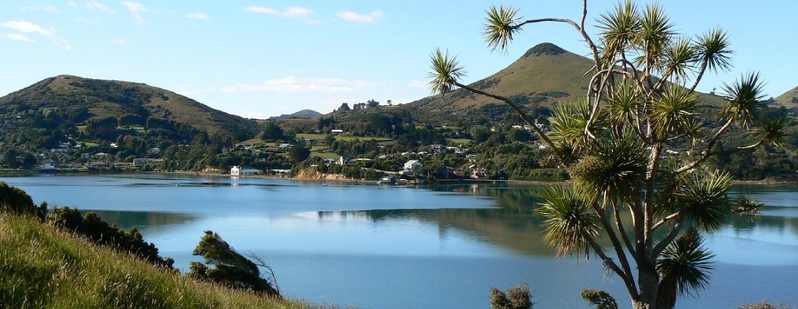 Portobello, Dunedin